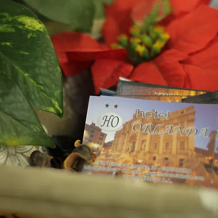酒店 奥兰达酒店 罗马